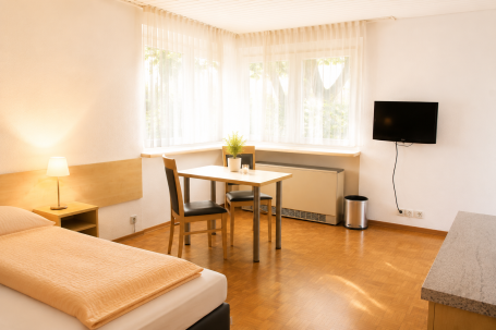 Helles Zimmer mit einem Bett, Tisch, Stühlen, Fernseher und Fenster mit Blick ins Freie.